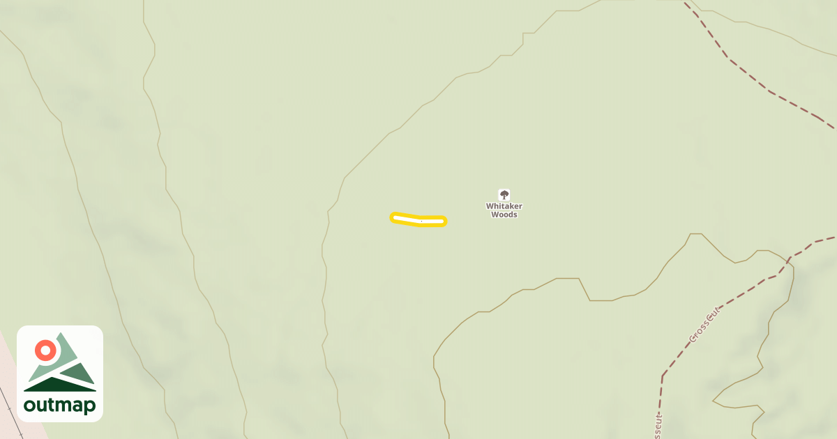 Map of Schuss
