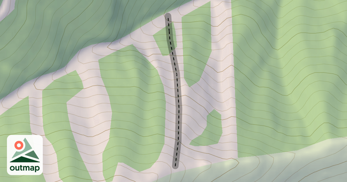 Map of Wonderboy