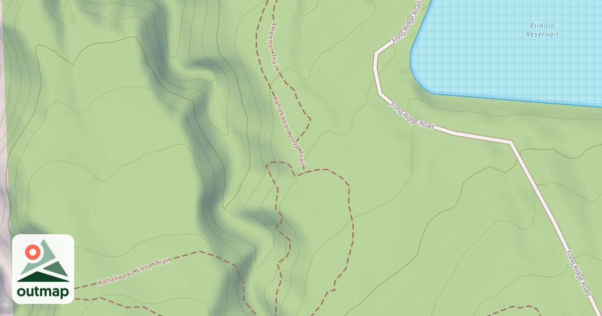 Map of Fong Ridge Road/Trail
