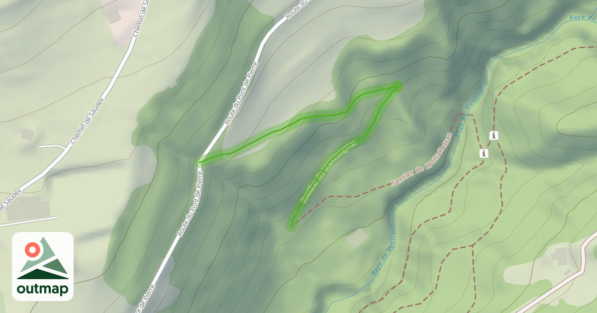 Map of Sentier de Tassoneyres