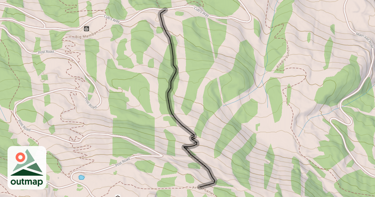 Map of Magic Forest