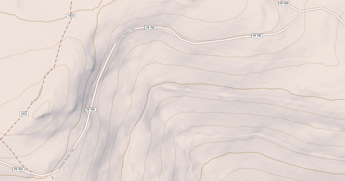 Map preview of USFS National Forest System Roads {93A5F62D-83B3-4AA7-84F7-33AD9F26AF45}