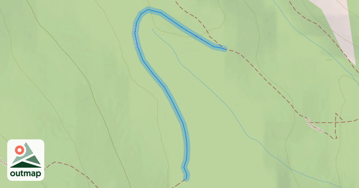 Map of Cedar Snag