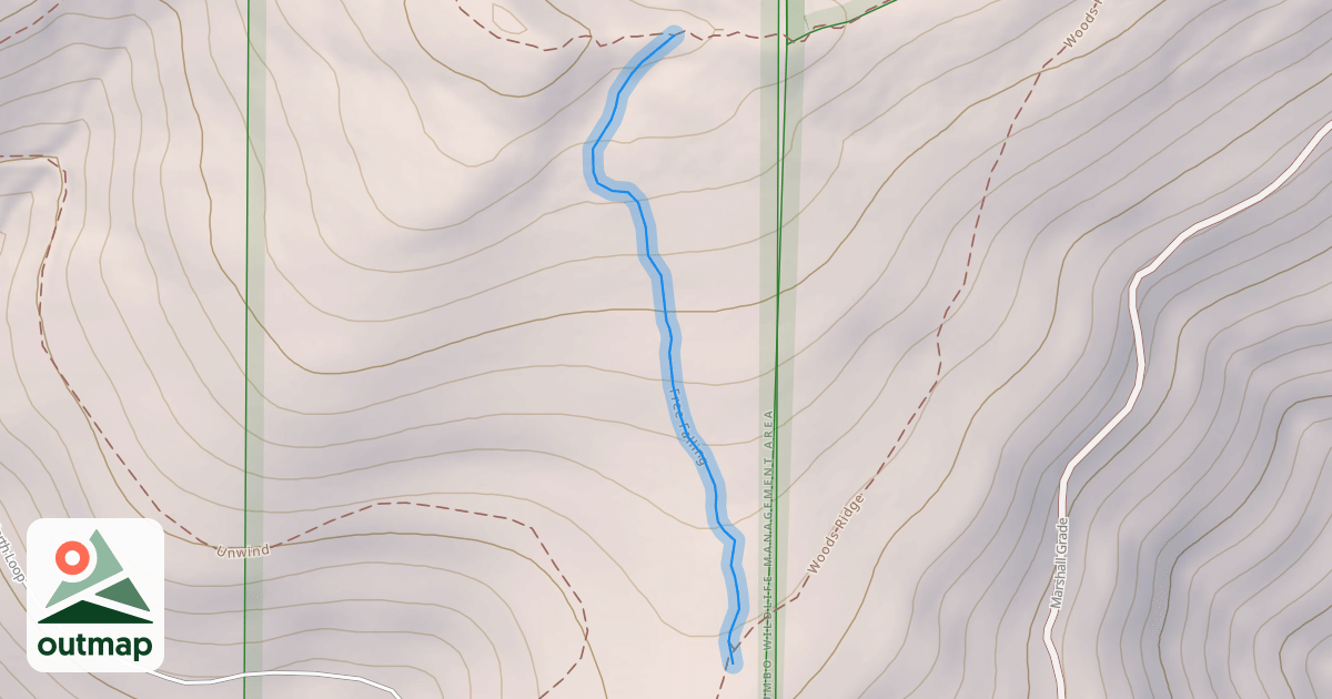 Map of Free Falling