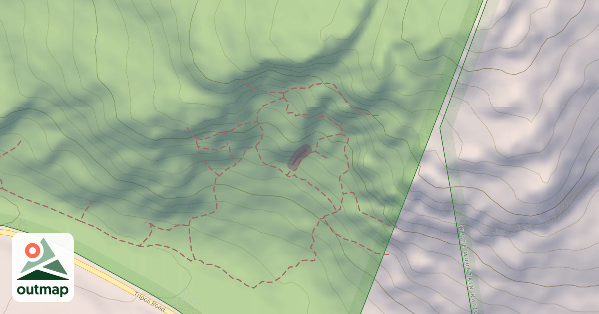 Map of Summer Wall