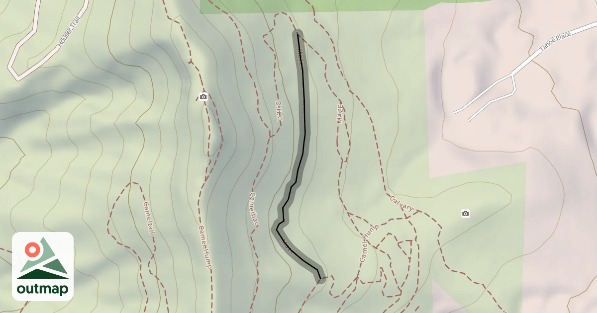 Map of MAZE