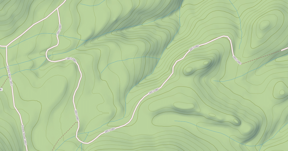 Map preview of USFS National Forest System Roads {4E9AFE5D-FA6A-4CE6-8CF7-8EB6BB8F4CBF}
