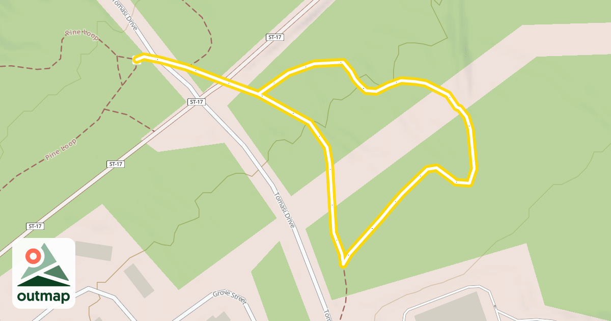Map of Tomasi Loop
