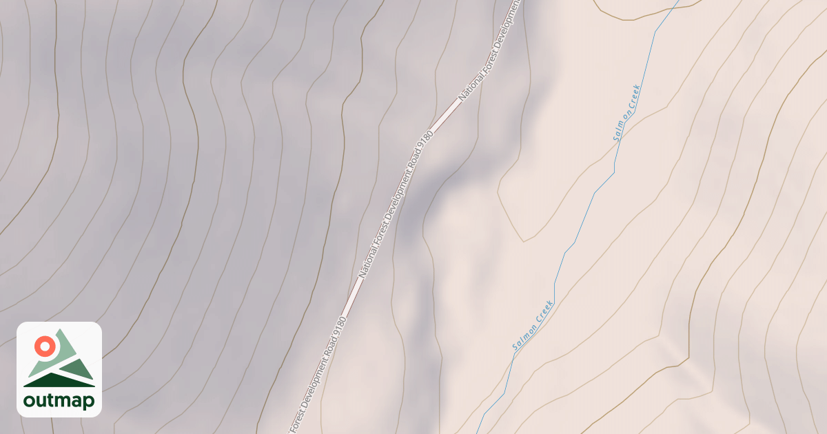 Map of USFS National Forest System Roads {478C41CB-8295-4004-9471-340F92A87C4A}