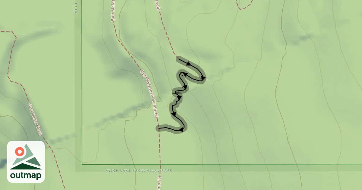 Map of Man Boobs