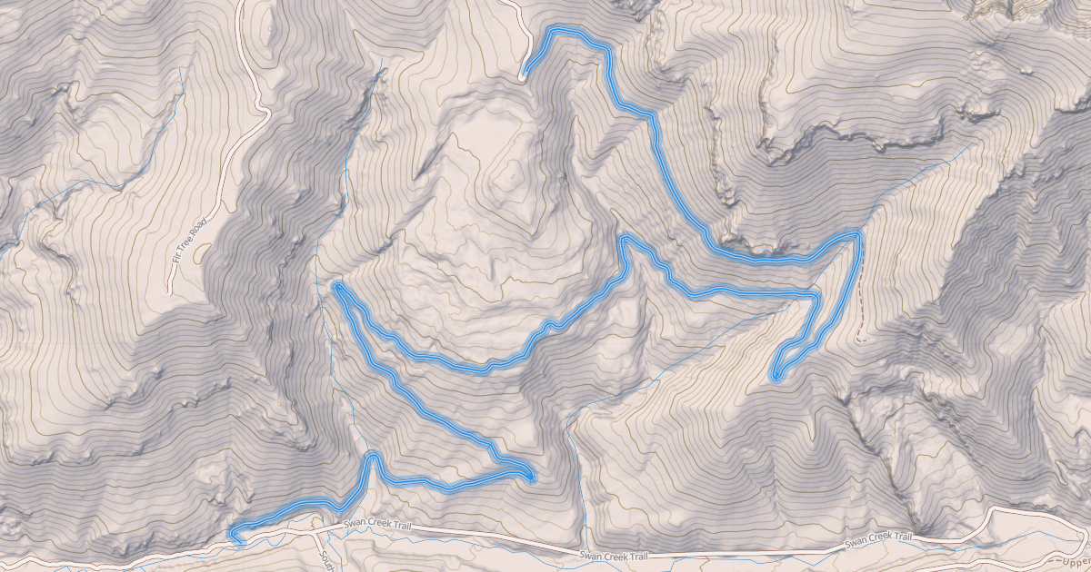 Map preview of South Fork Swan Creek Trail