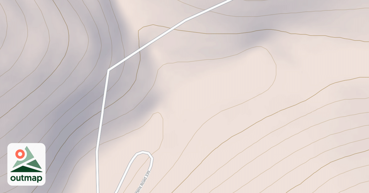 Map of 339 Y