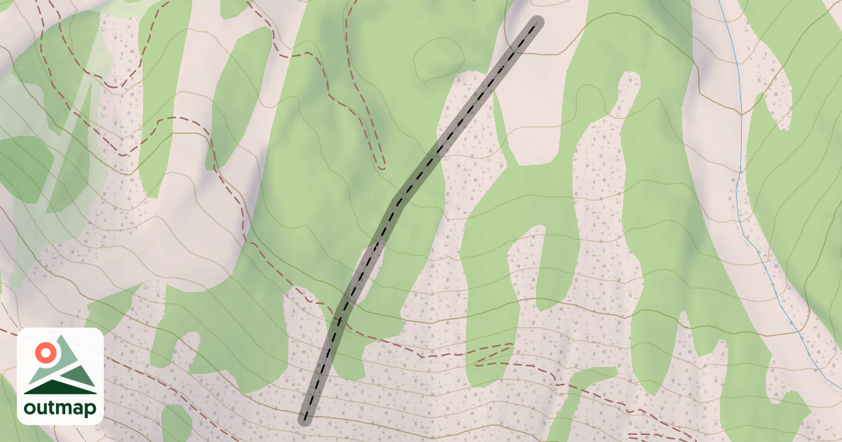 Map of White Bark Bowl