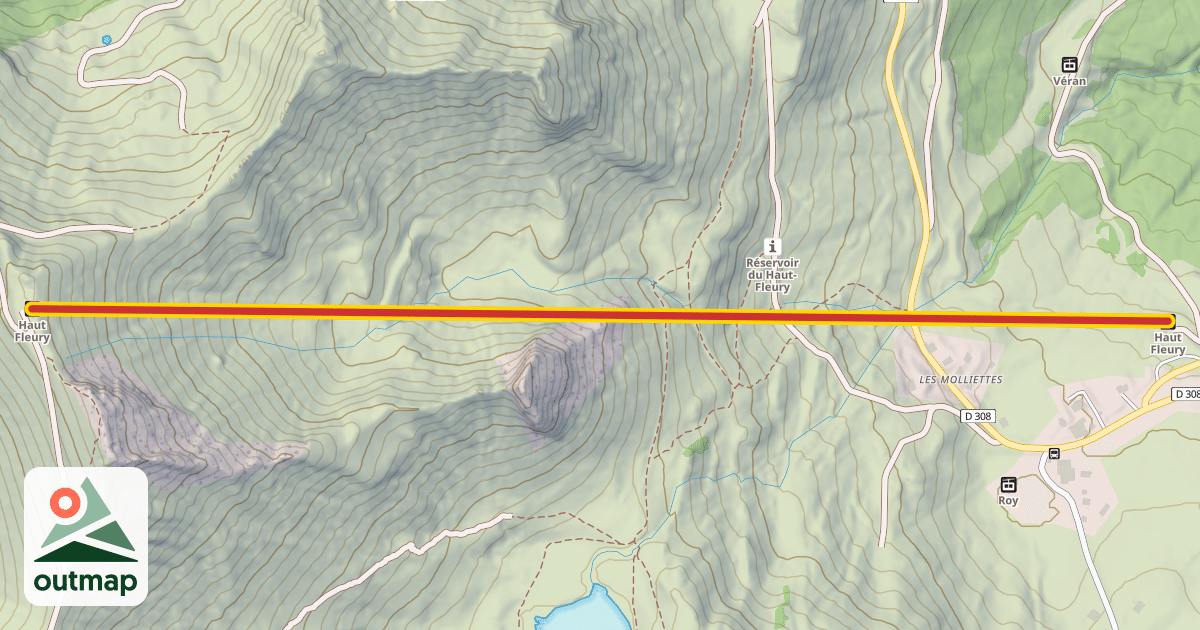 Map of Haut Fleury