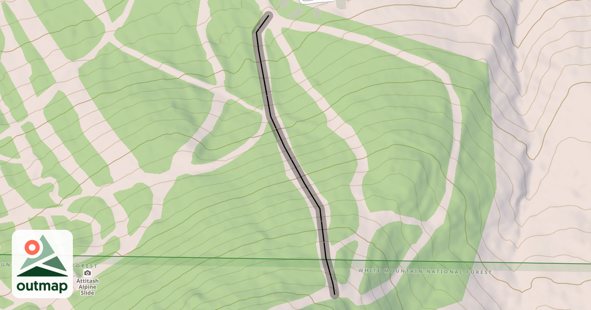 Map of Tim's Trauma