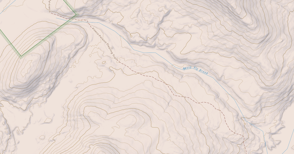 Map preview of Piseco-Perkins Clearing Trail