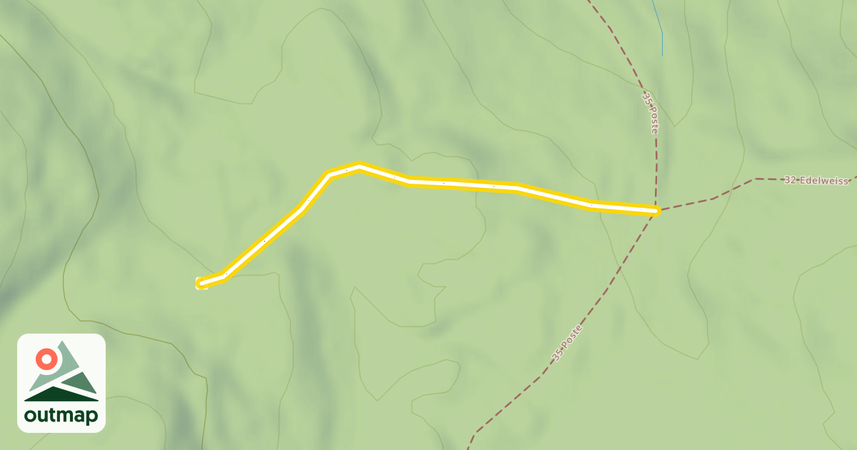 Map of 32 Edelweiss