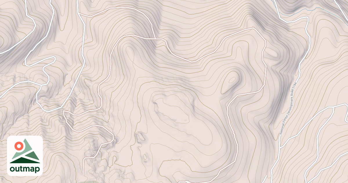 Map of USFS National Forest System Roads {3AA3D61D-D8F9-41D3-9273-C76E12CE8740}