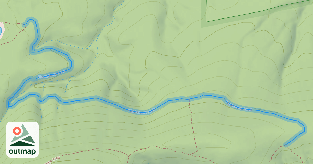 Map of Pipsissewa Trail