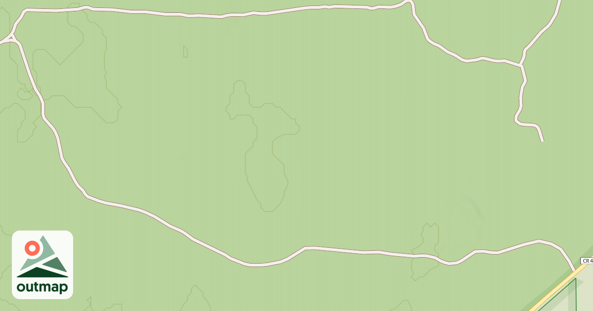 Map of USFS National Forest System Roads {16A3E6C1-2972-4C2B-9143-1A553CBC2124}