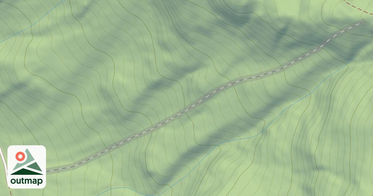Map of Exit Gully Trees