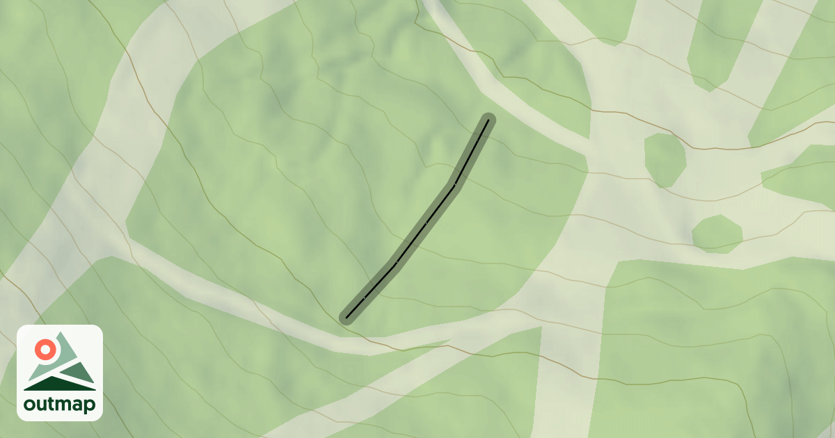 Map of Way Back Woods
