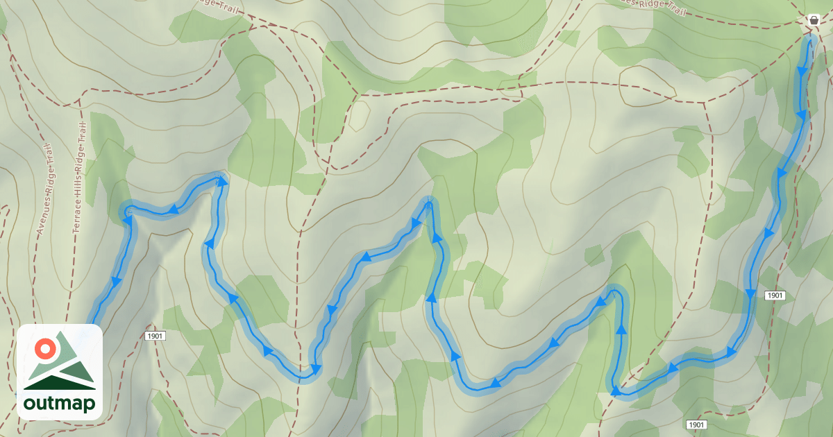 Map of 19th Avenue (Upper)