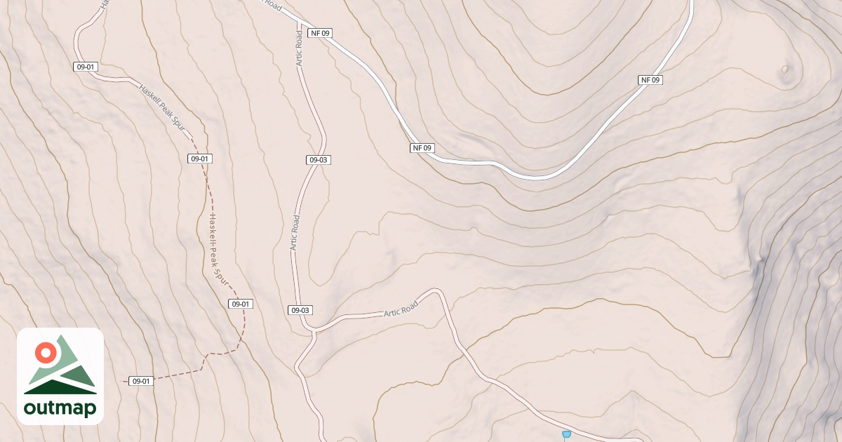 Map of ARTIC
