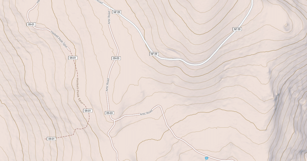 Map preview of ARTIC