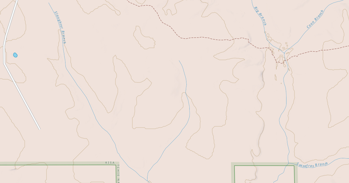 Map preview of USFS Motor Vehicle Use Map Roads {F9753BEE-9429-4213-BAF8-991BFBE23060}