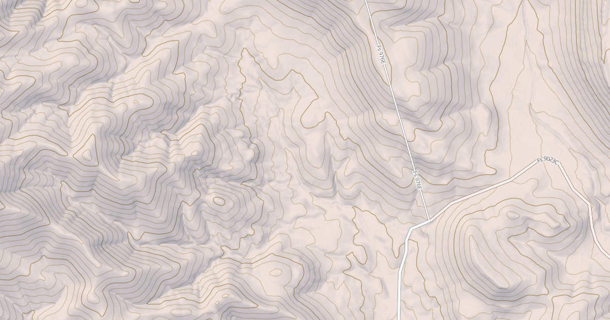 Map preview of USFS Motor Vehicle Use Map Roads {54960464-4C66-4C2D-84AD-5DAAE6F67C56}