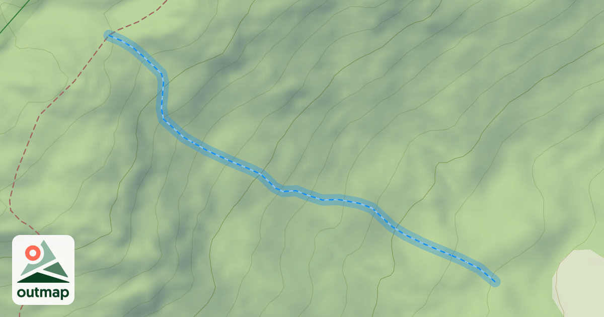 Map of Mayer