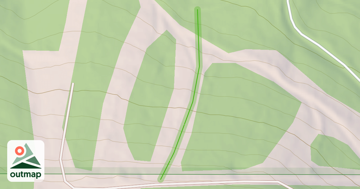 Map of Bishop