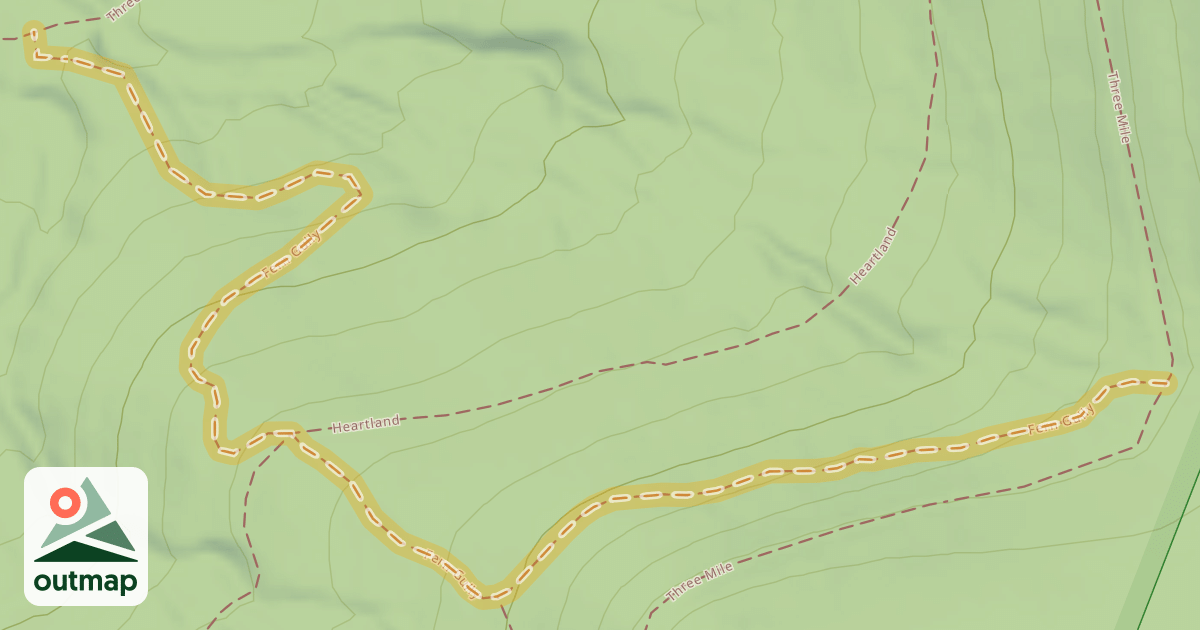 Map of Fern Gully