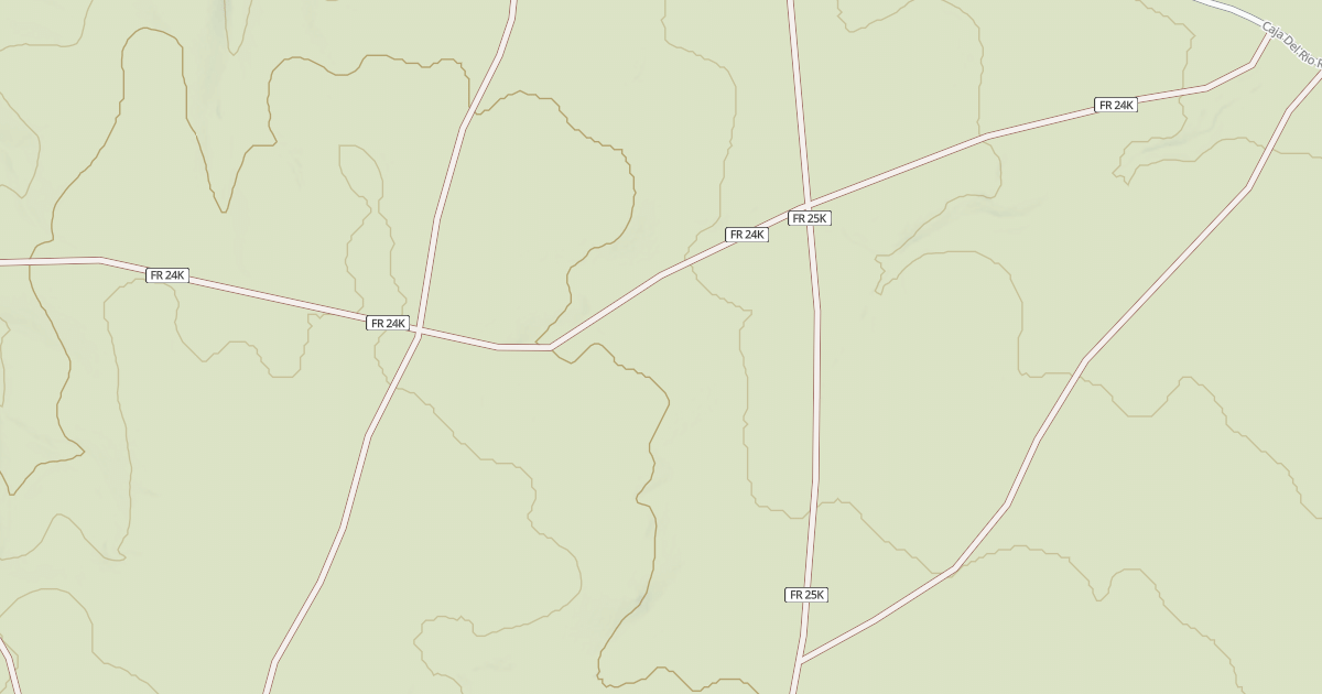 Map preview of USFS National Forest System Roads {91BF28EE-87EB-494F-B73F-3E32D8F42687}