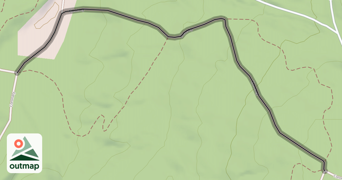 Map of Coronary