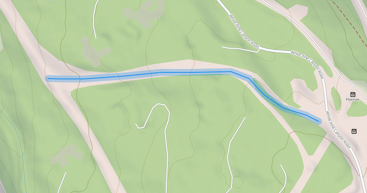 Map preview of Golden spruce