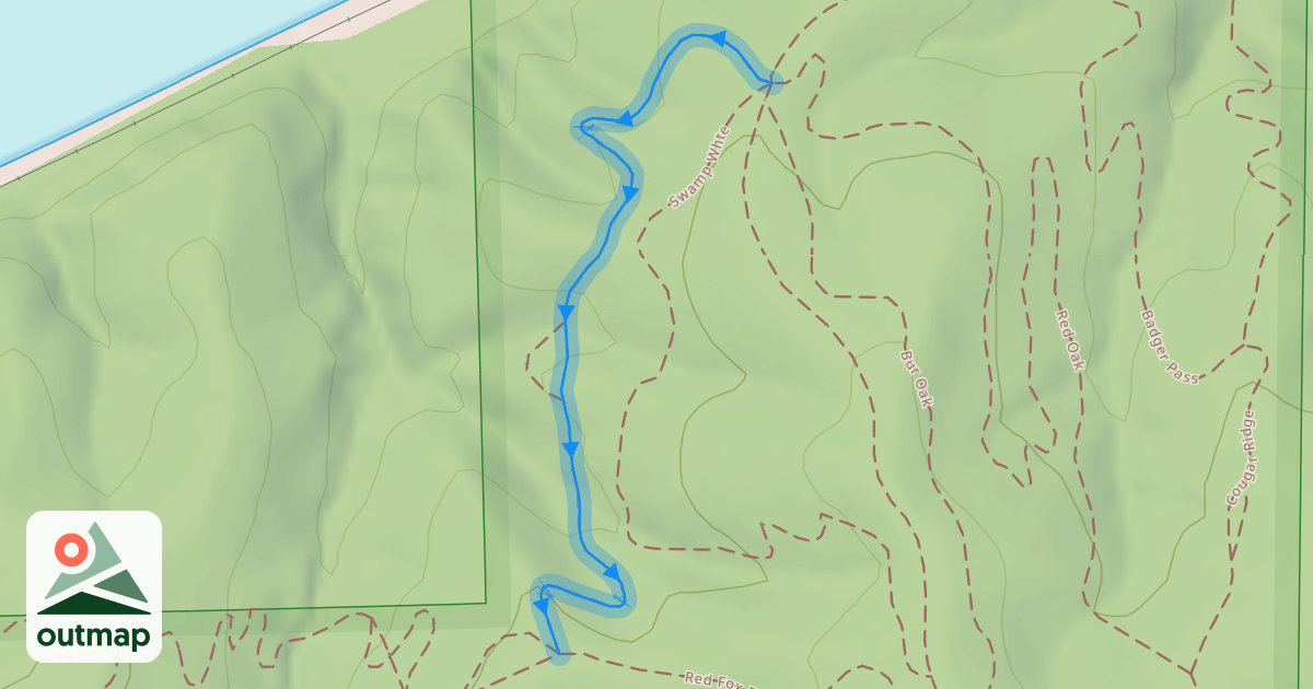 Map of Spotted Skunk