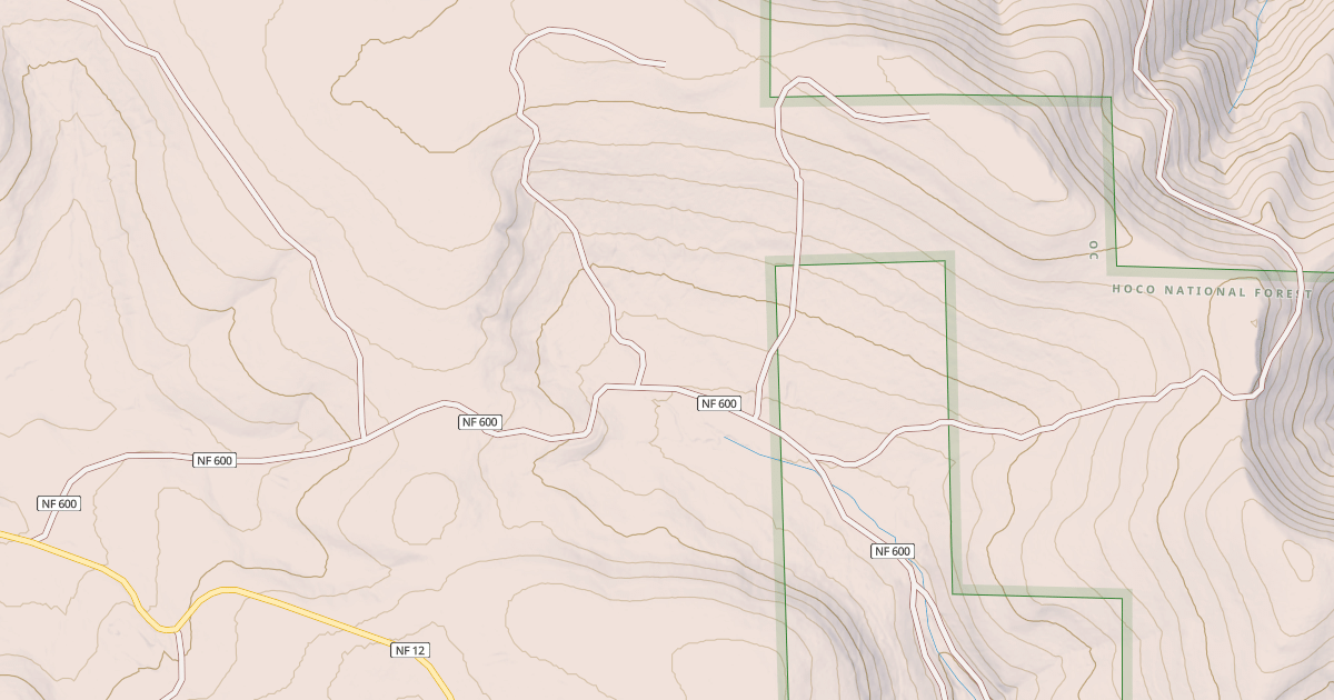 Map preview of USFS Motor Vehicle Use Map Roads {A6D761FF-F04F-44ED-970B-B70FA6E12124}