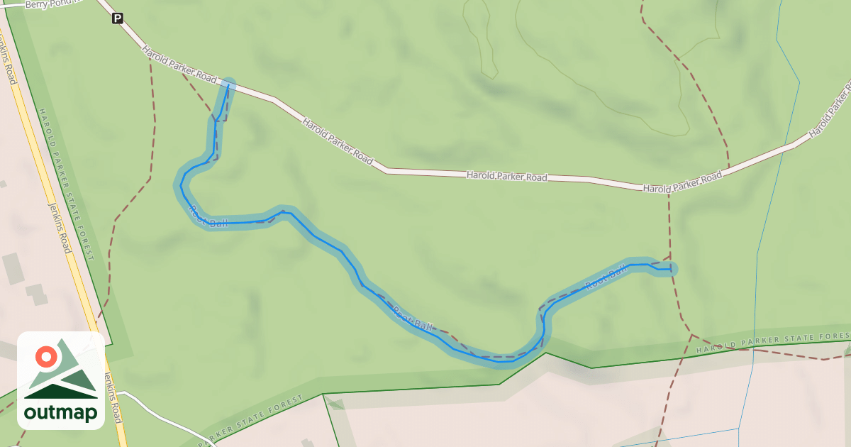 Map of Root Ball