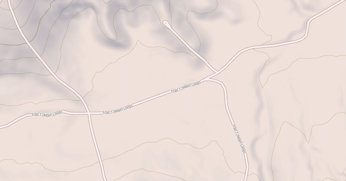 Map preview of BLM National GTLF Public Motorized Roads 0d51f234-cc13-4e9e-8a9e-f20dd23b9eaa