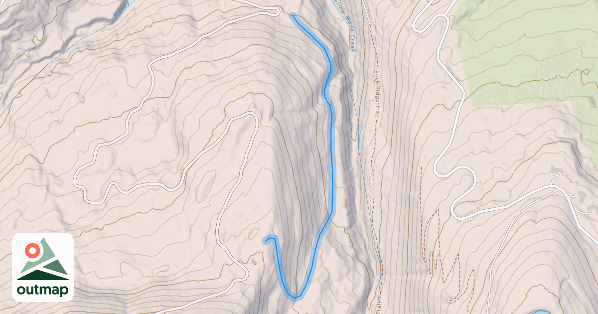 Map of Dog Leg