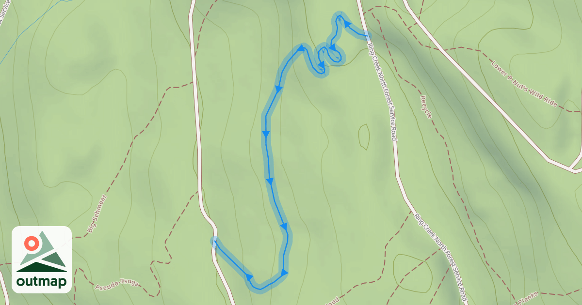 Map of Pseudo-Tsuga