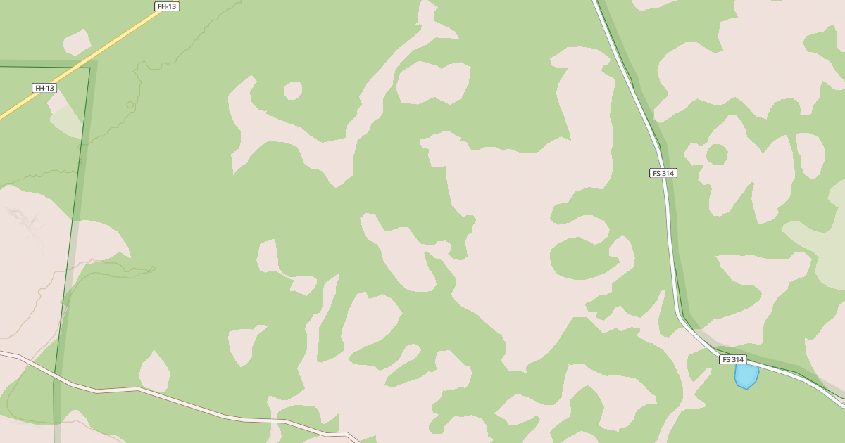 Map preview of USFS National Forest System Roads {DD8B1316-86BE-44D2-8128-385413B3F9B6}