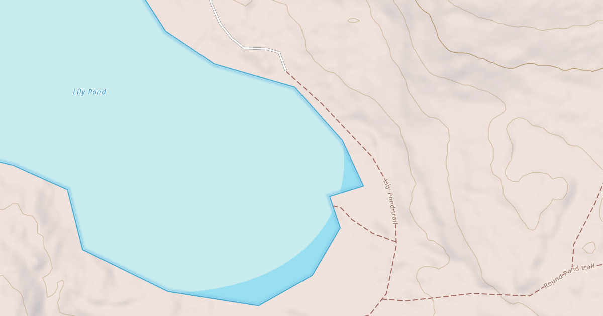Map preview of Lily Pond Trail