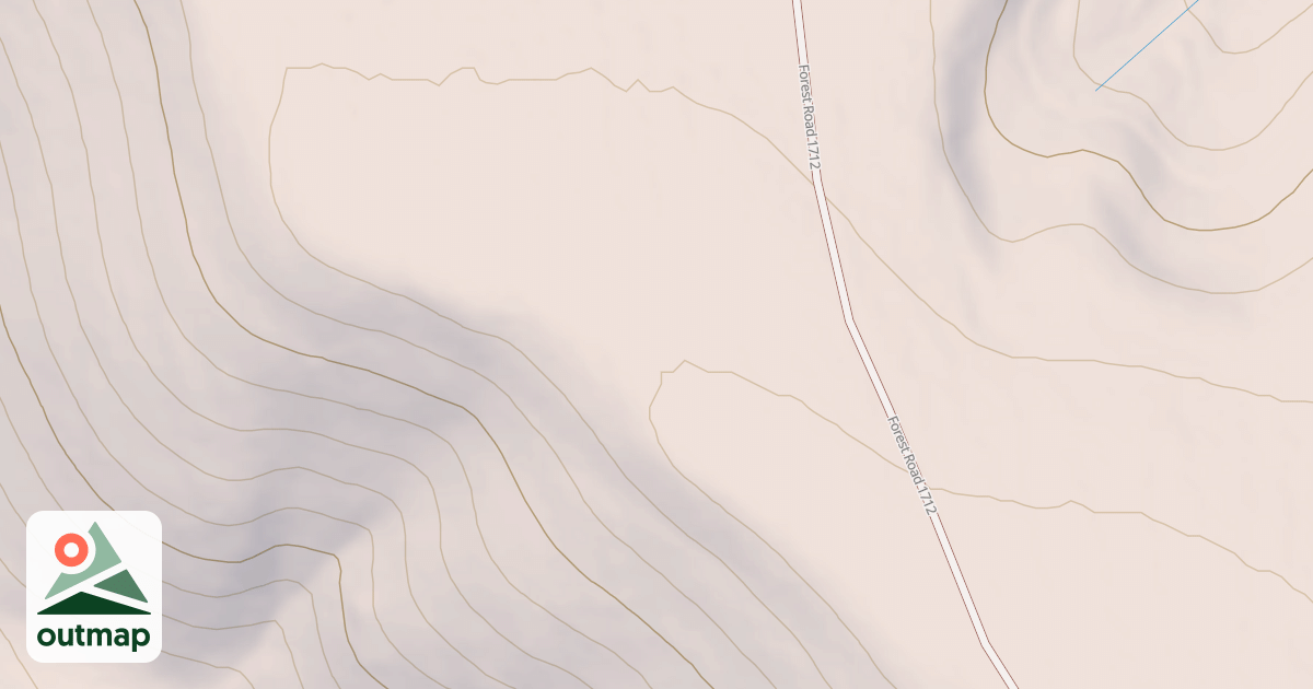 Map of USFS National Forest System Roads {44E957F6-DB4F-46E2-BE82-47D1CAECDEA9}
