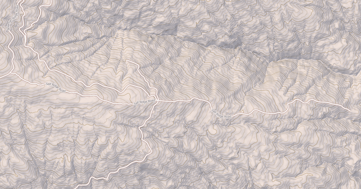 Map preview of SELF RIDGE