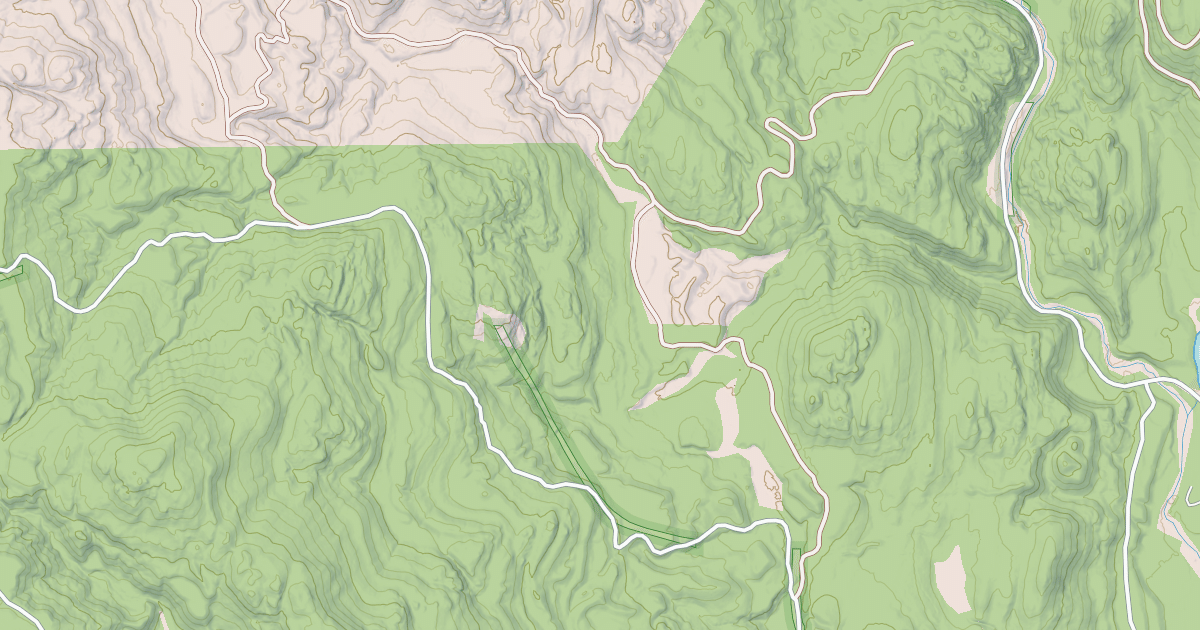 Map preview of USFS Motor Vehicle Use Map Roads {1F9641AB-C3EC-4A69-92D5-696CF16E4B1D}