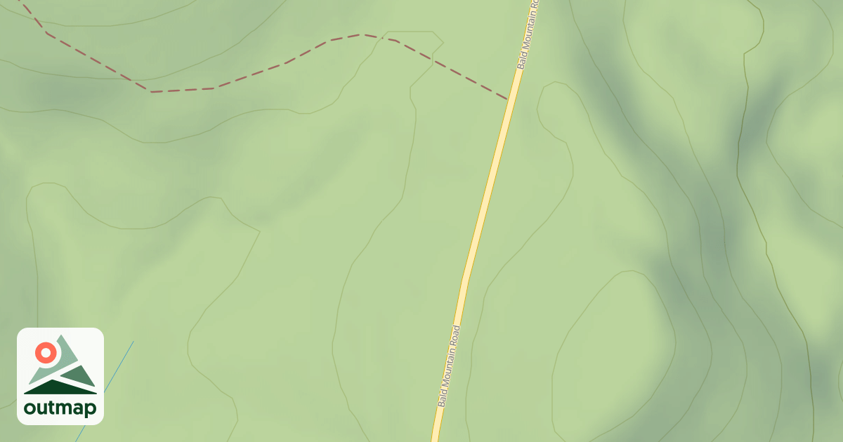 Map of Mutant Ferns