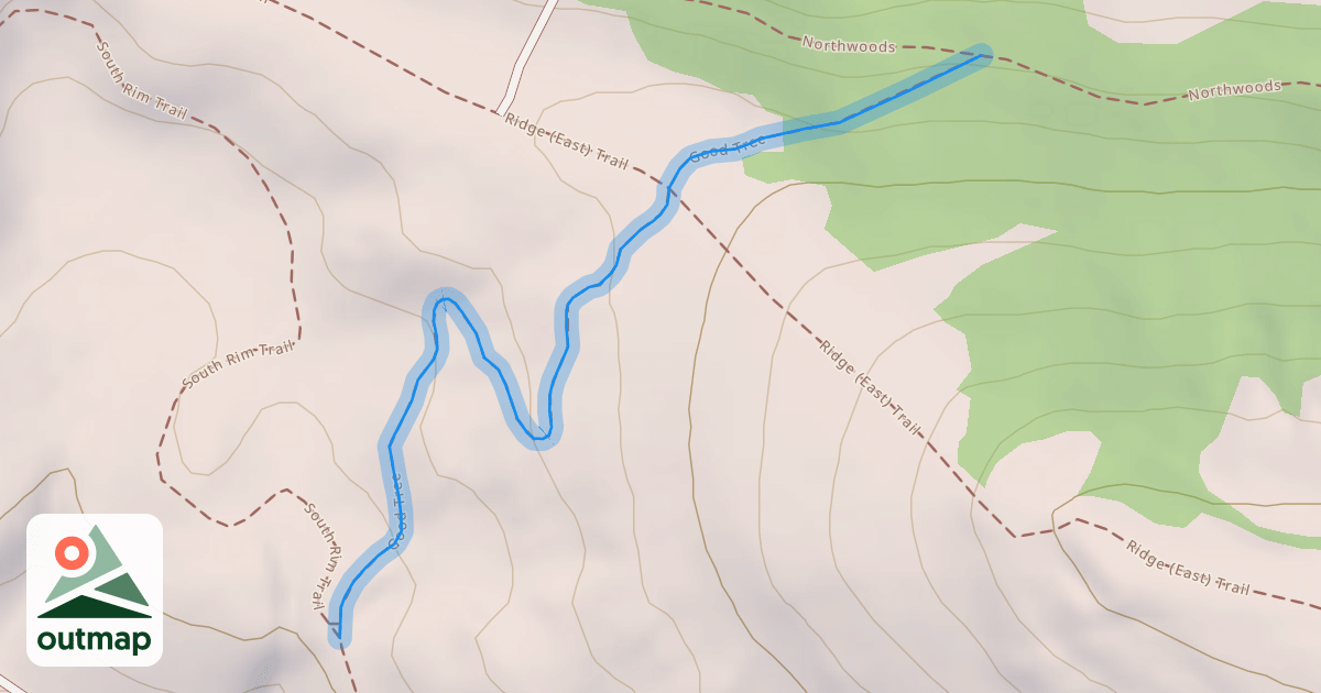 Map of Good Tree